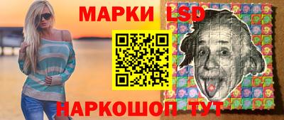 гашик Кингисепп