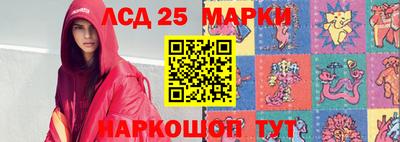 гашик Кингисепп