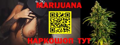 гашик Кингисепп
