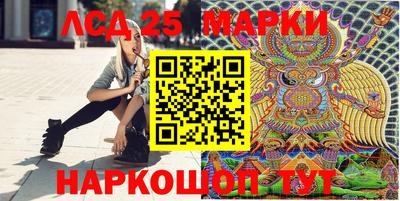 spice Кимры