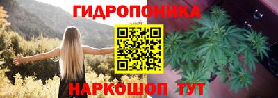 spice Кимры