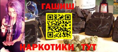 гашик Кингисепп
