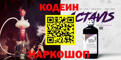 гашик Кингисепп