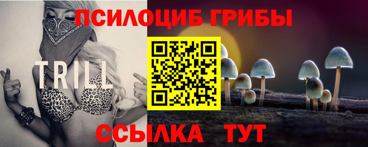 Псилоцибиновые грибы GOLDEN TEACHER Шахты