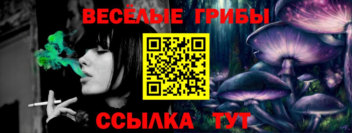 Галлюциногенные грибы Psilocybine cubensis  Вход с VPN  Шахты 