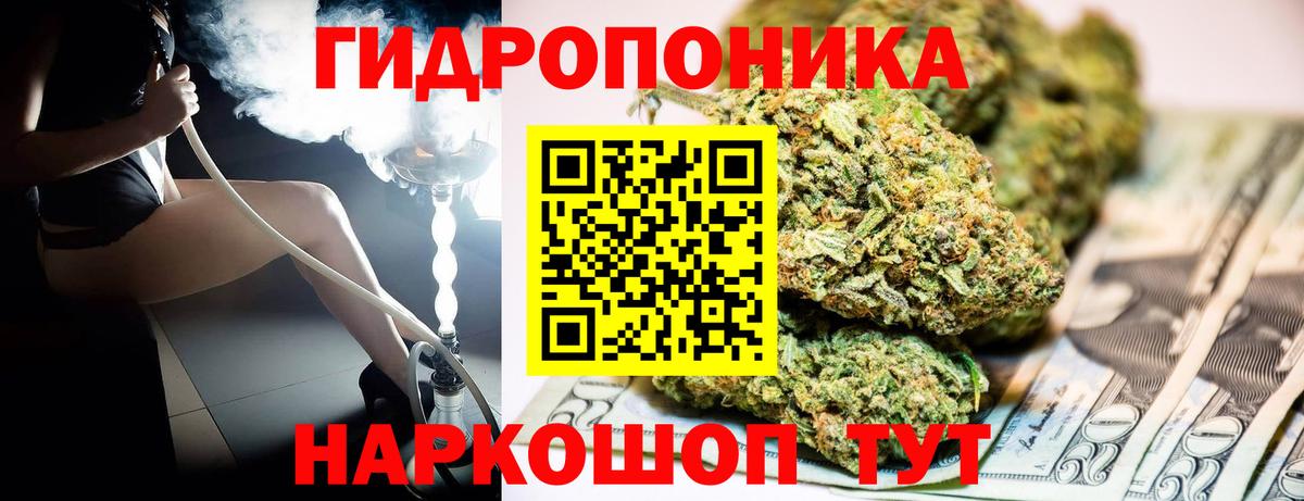 Шахты  Конопля индика  Бошки марихуана семена  Канабис индика  Вход с VPN 